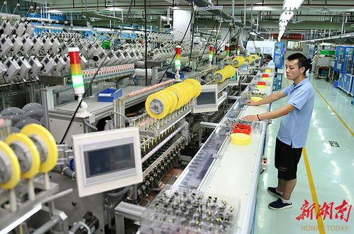 外貿(mào)訂單多 企業(yè)生產(chǎn)旺